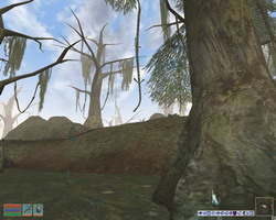 Way in Oblivion - Morrowind -  - BCS